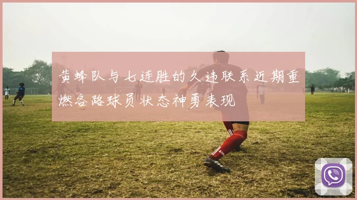 黄蜂队与七连胜的久违联系近期重燃各路球员状态神勇表现