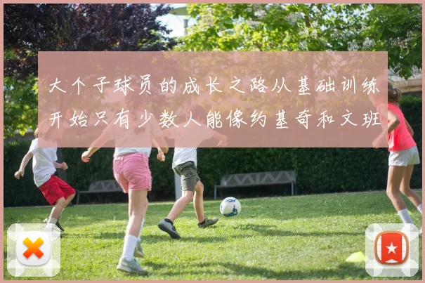 大个子球员的成长之路从基础训练开始只有少数人能像约基奇和文班那样成功
